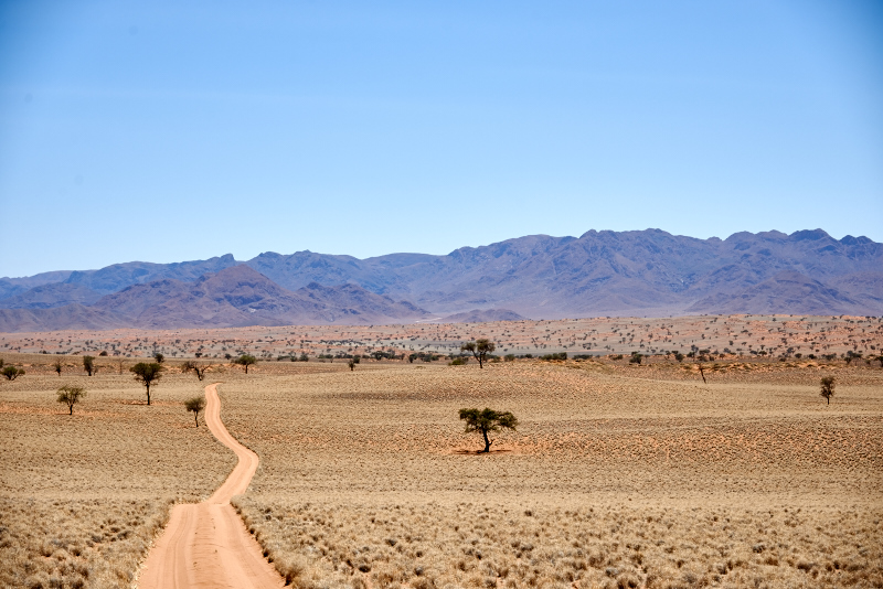 Namibia 15 049