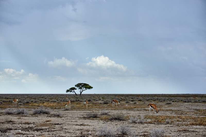 Namibia 15 215