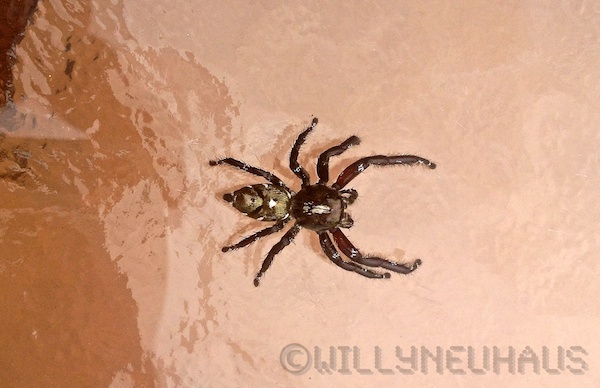 Asien14 Thailand2 48