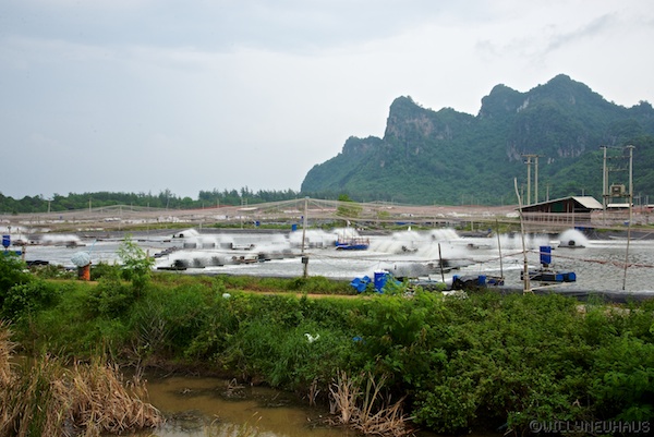 Asien14 Thailand2 58