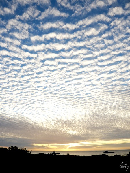 AustraliaPerth 10  078