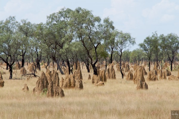 AustraliaPerth 10  157