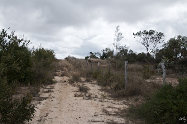 AustraliaPerth_10__036