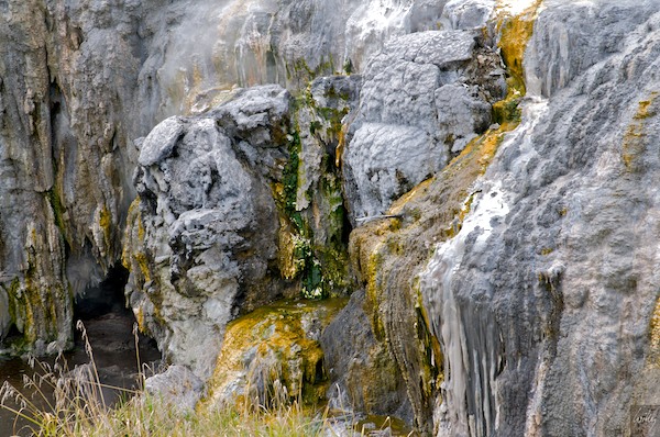 New Zealand 09 10  129