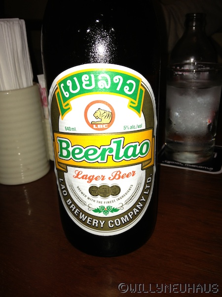 ElephantLuangPrabang 001