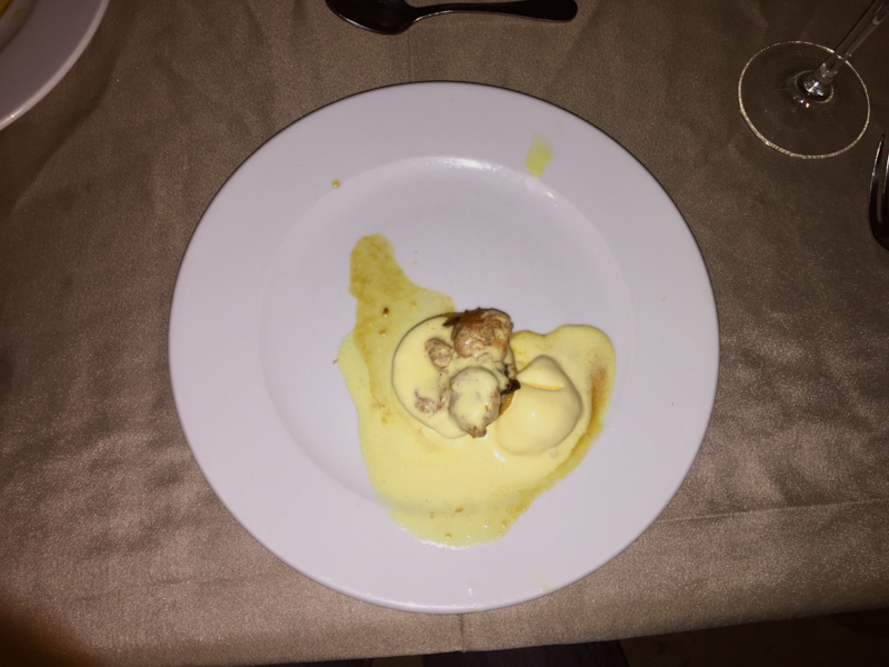 OcenaCoralTurquesaPuertoMorelos 008