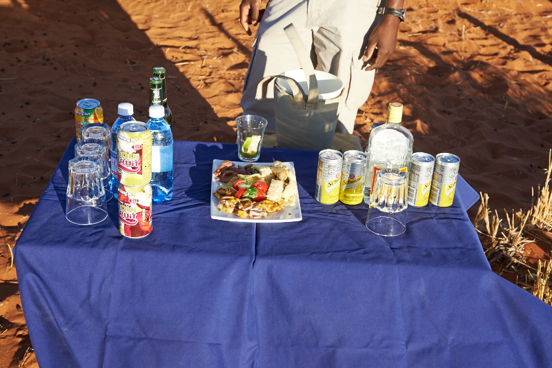 WolwedansDunesCampNamibia2