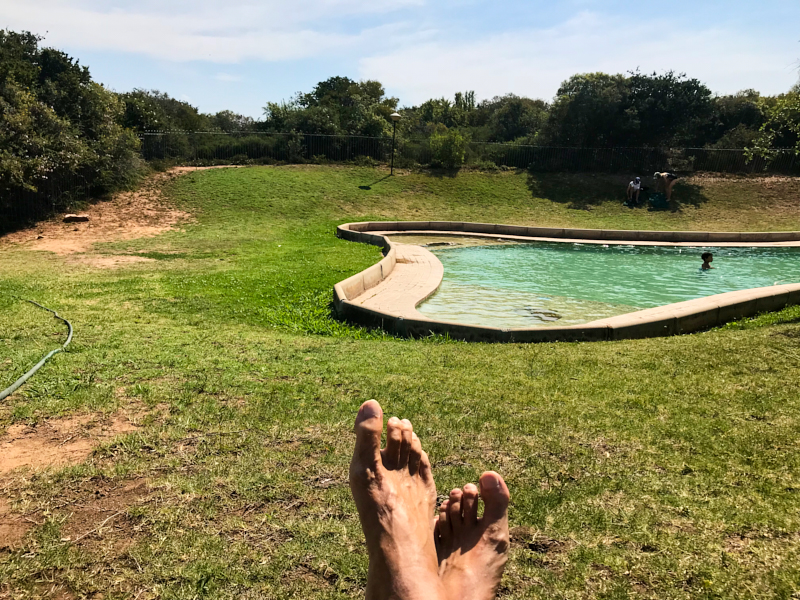 AddoElephantNPSouthAfrica