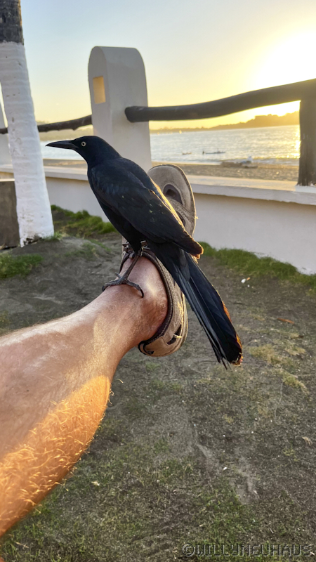 BahiaDelSolCostaRica