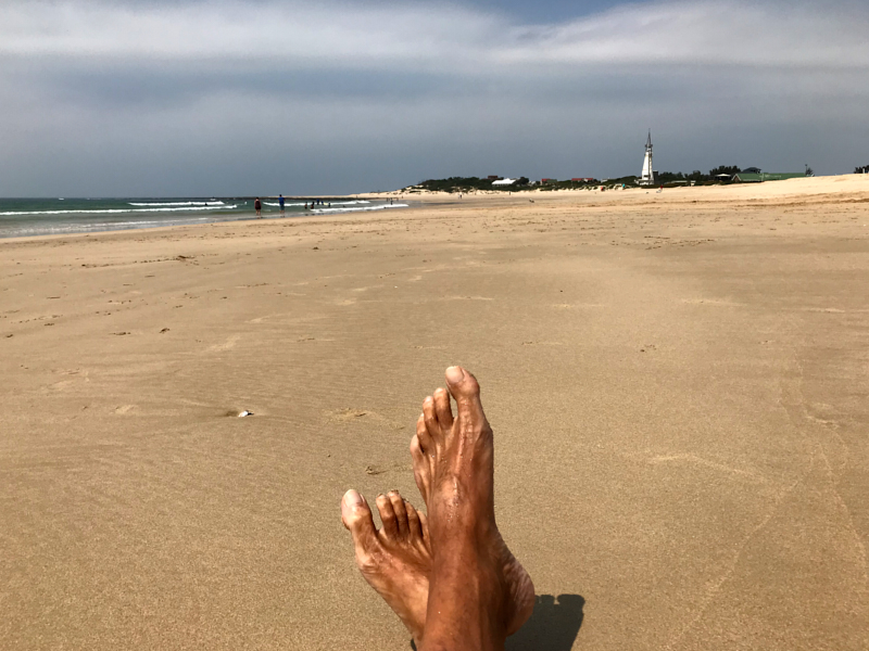 Jeffryes Bay Garden Route Southafrica