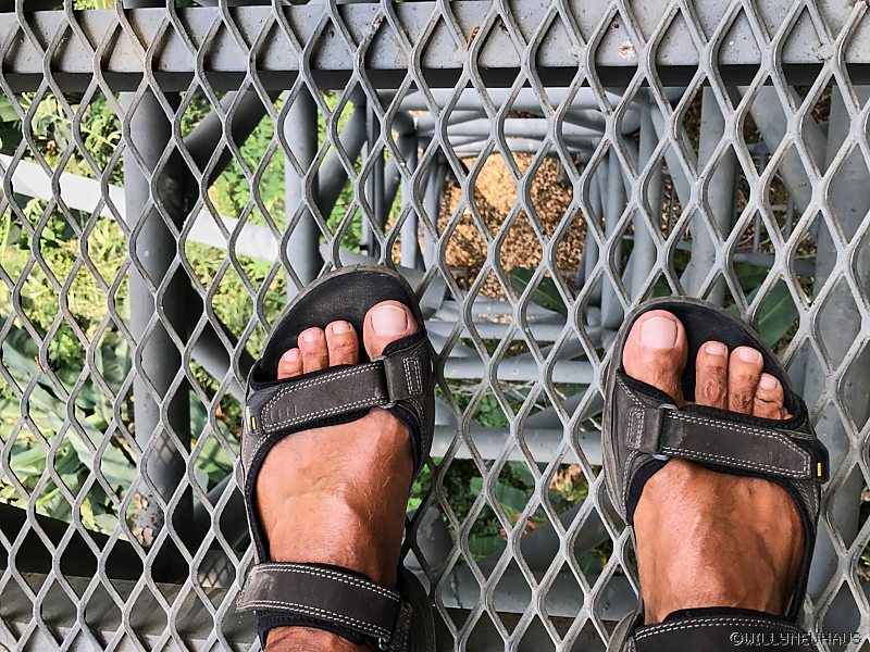 QueenSirikitBotanical2