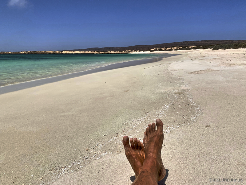 TurquoiseBeachCapeRangeNPWAAustralia