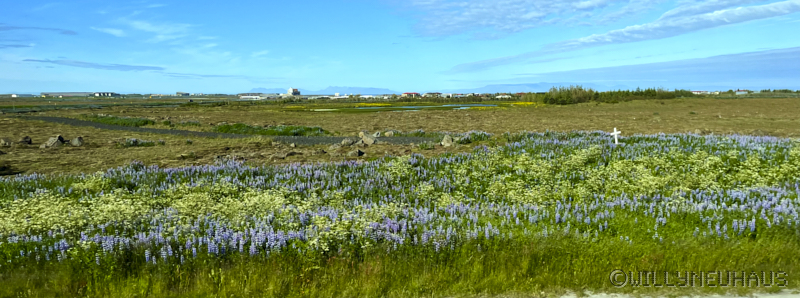 IslandGrönland23 003