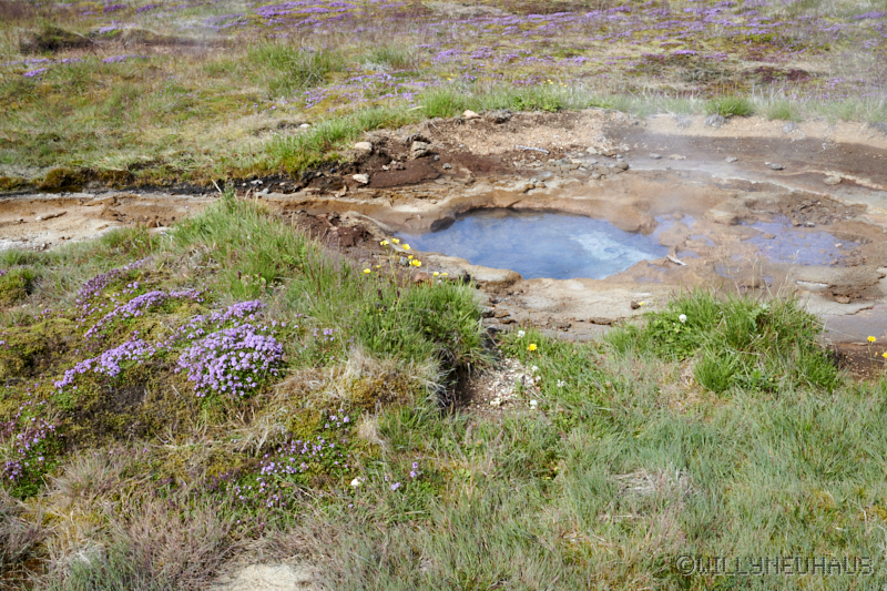 IslandGrönland23 033