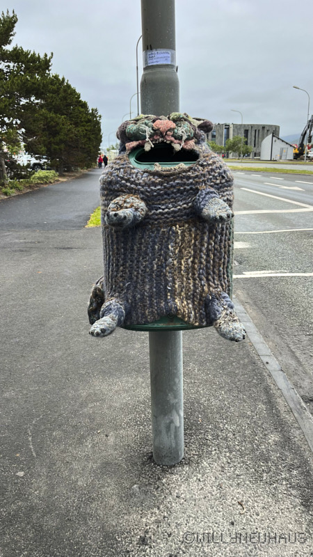 IslandGrönland23 079