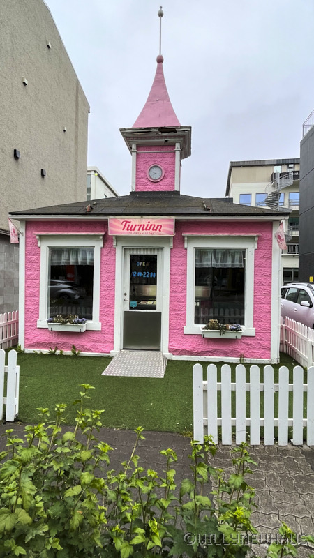 IslandGrönland23 082