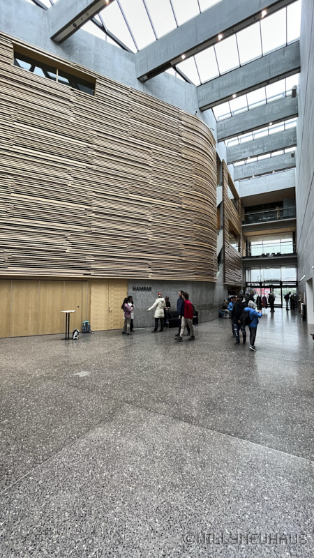 IslandGrönland23 085