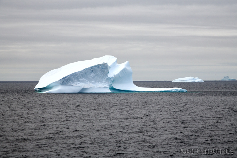 IslandGrönland23 110