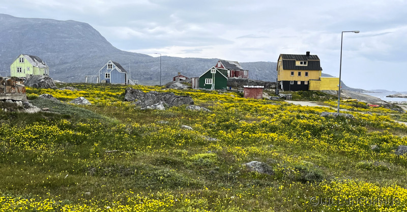 IslandGrönland23 116