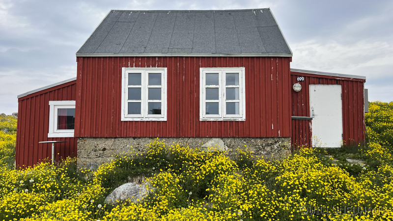 IslandGrönland23 117