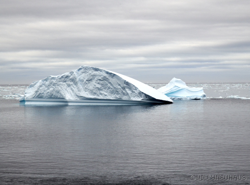 IslandGrönland23 131