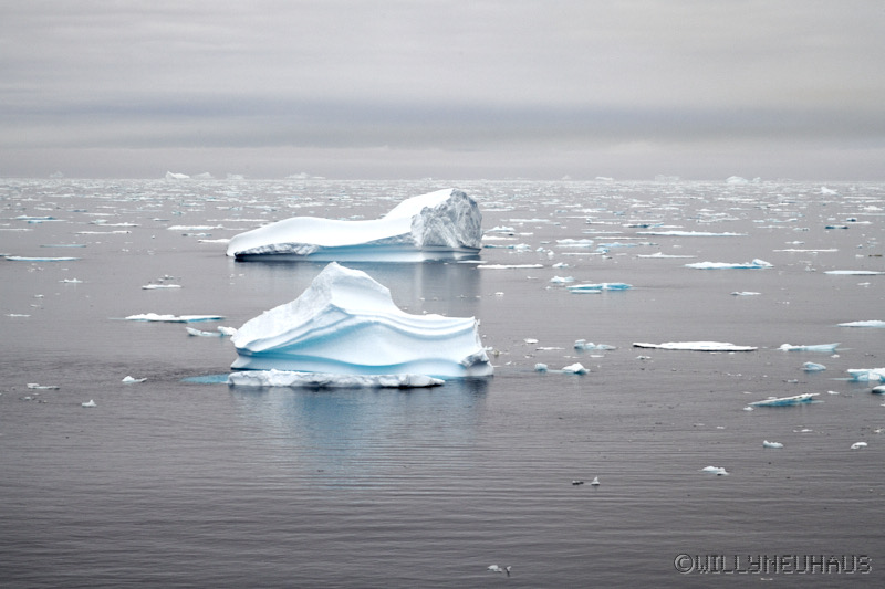 IslandGrönland23 132