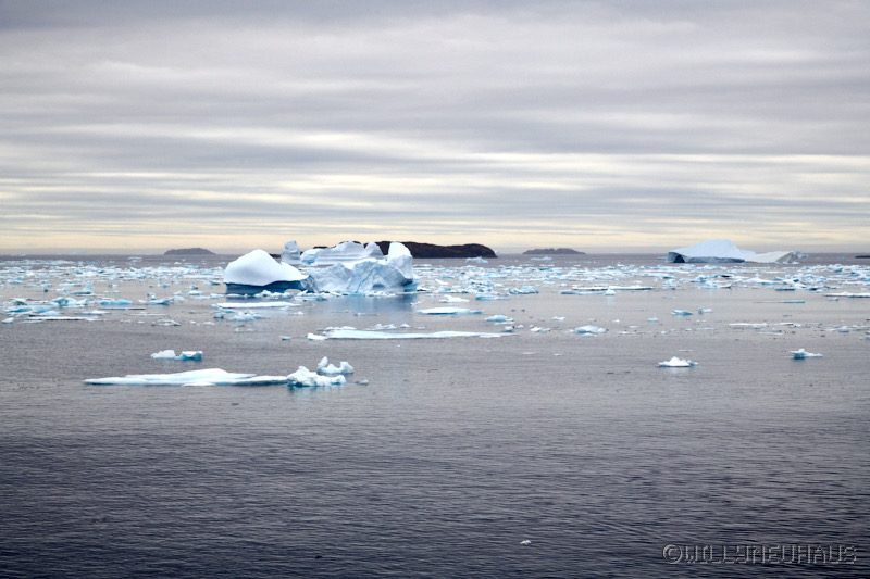 IslandGrönland23 133