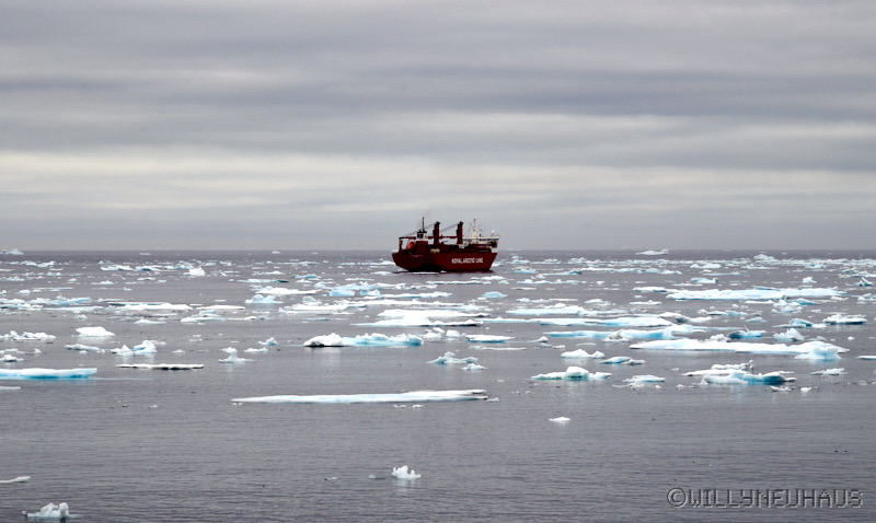 IslandGrönland23 134