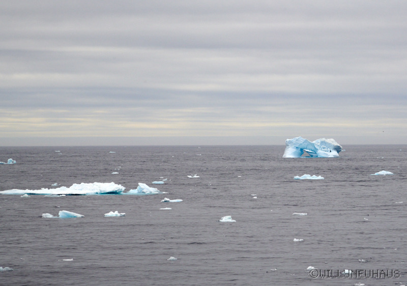 IslandGrönland23 138