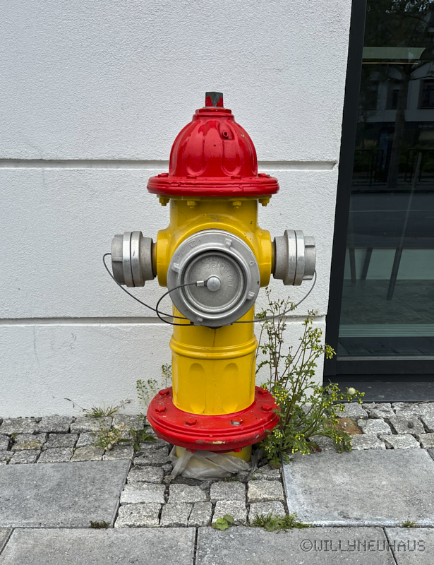 IslandGrönland23 149