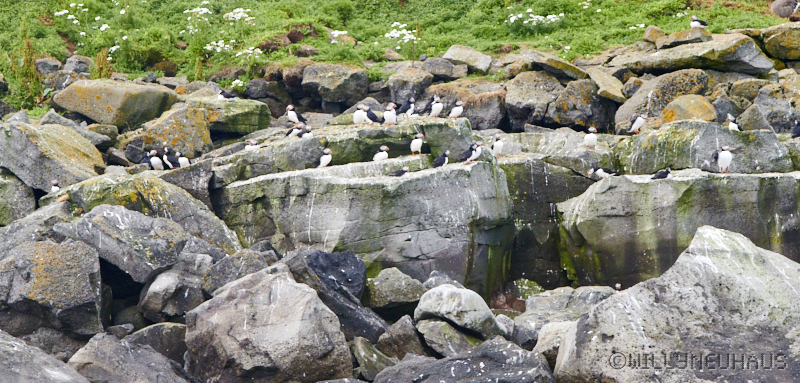 IslandGrönland23 159