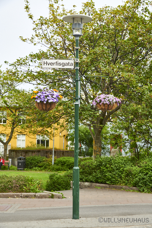 IslandGrönland23 162