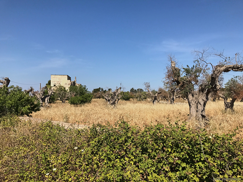 Puglia 17 036