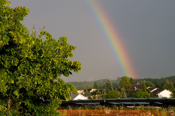 Regenbogen