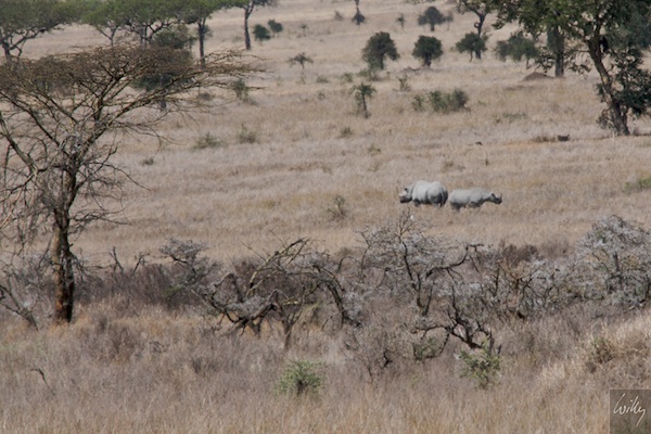 Tanzania_09__05