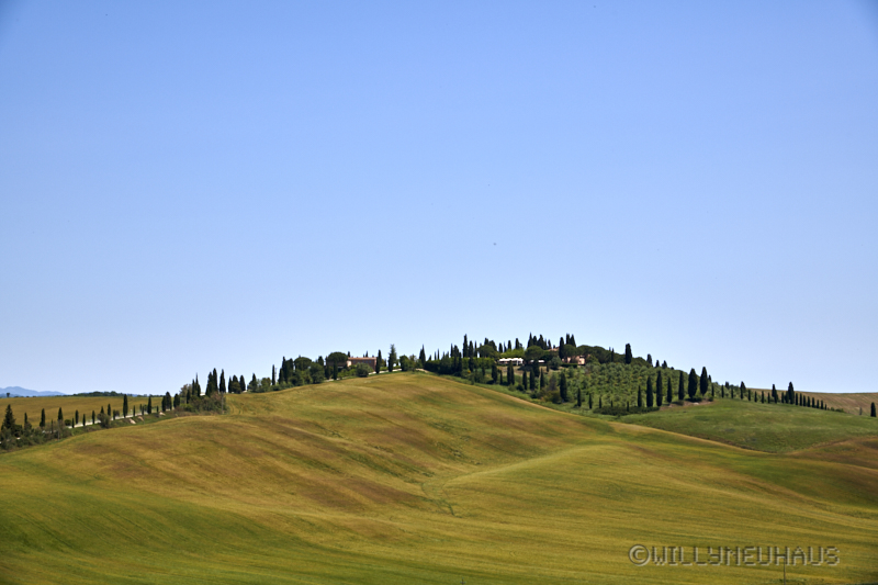 Toscana19 33