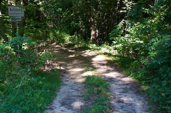 Weinreise Oesterreich 11