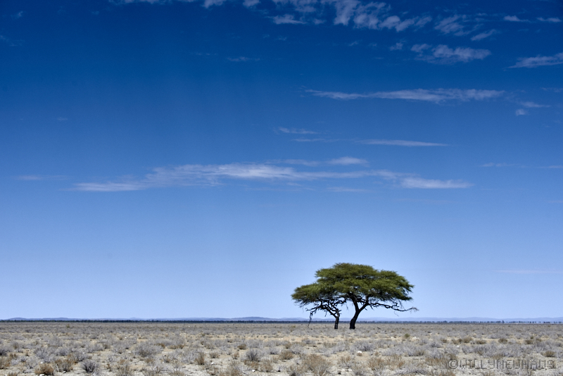 Namibia 16 058