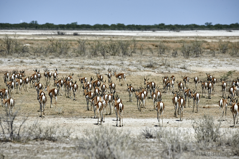 Namibia 16 068