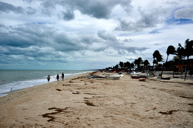 Yucatan 16   013