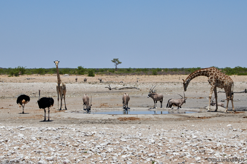 Namibia18 154