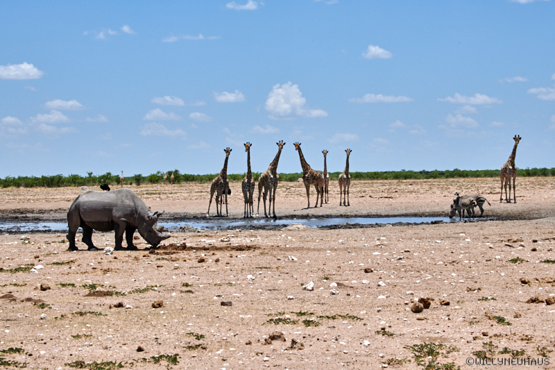 Namibia18 178