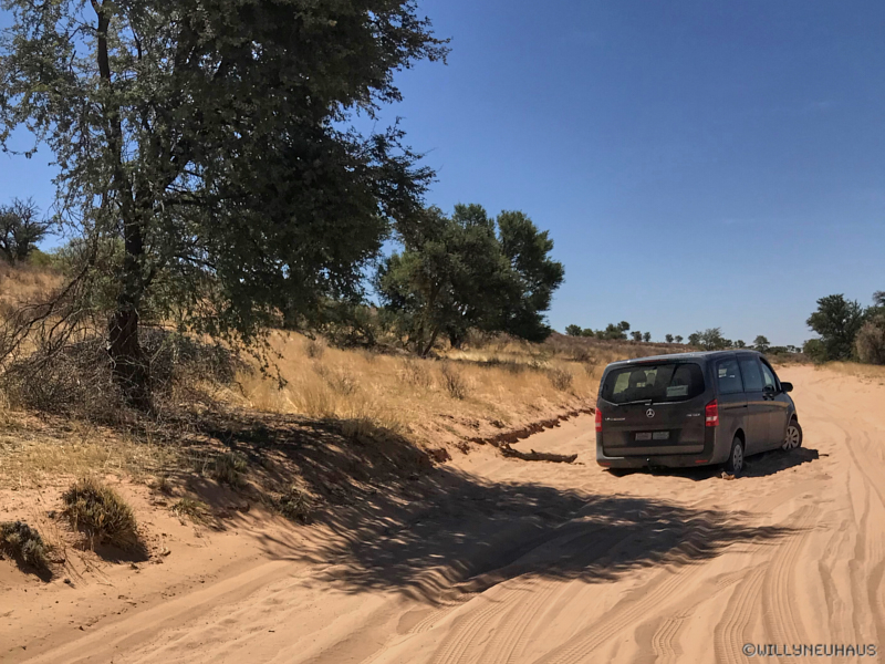 Namibia18 294