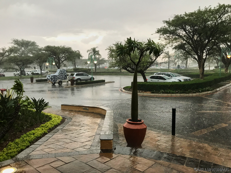 SouthafricaBruno18 002