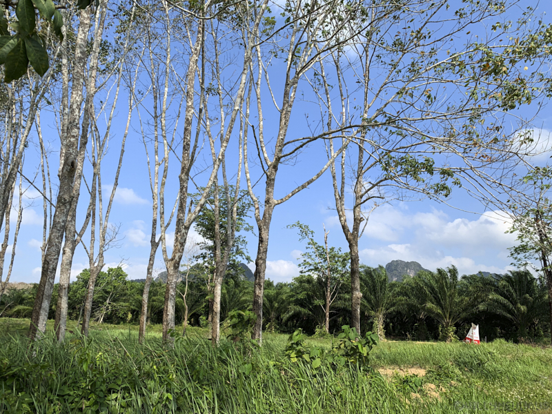 Thailand19allein 084