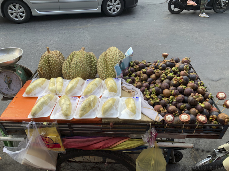 Thailand19allein 102