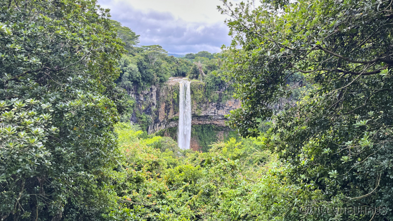 CruiseTriesteDurban23 105