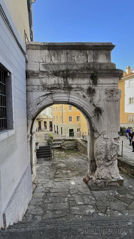 CruiseTriiesteDurban23 008