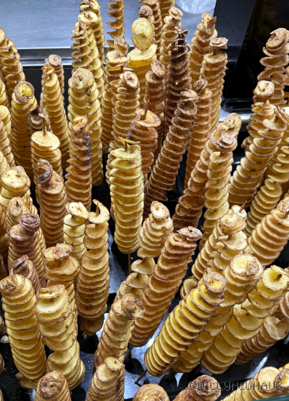 CruiseBarcelonaBuenosAires007