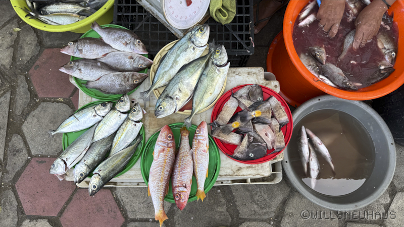 CruiseBarcelonaBuenosAires075